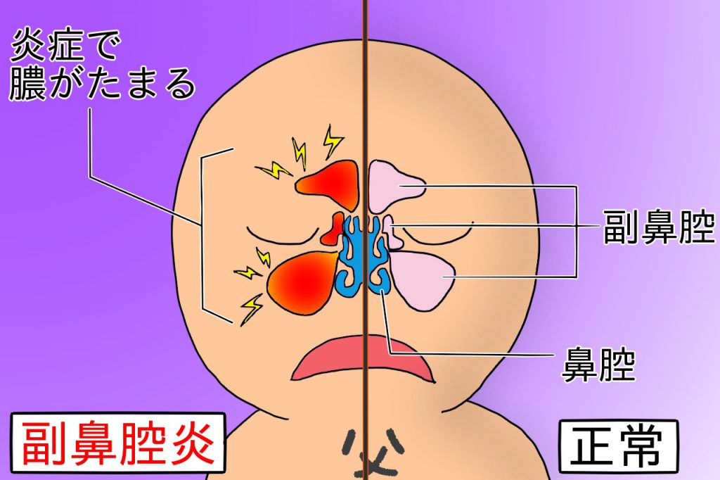 清塚信也 ロンドカプリチオーソ