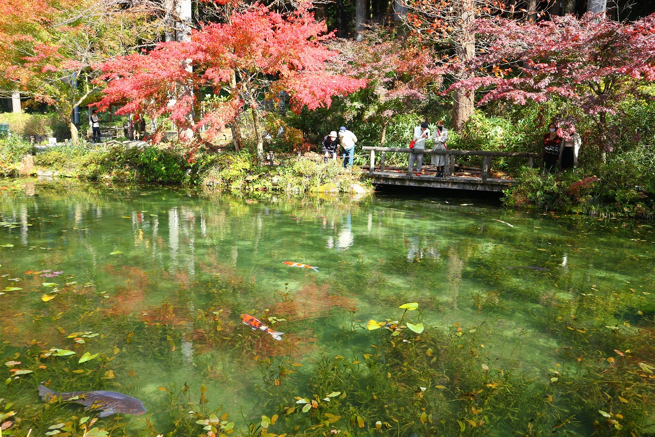 岐阜県関市の観光名所「モネの池」に癒されて。紅葉やカフェの情報も。 岐阜県関市の観光名所「モネの池」に癒されて。紅葉やカフェの情報も。